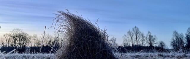 AHTO ILMAJUTUD | Järgnevatel päevadel võib tulla vihma ja lörtsi