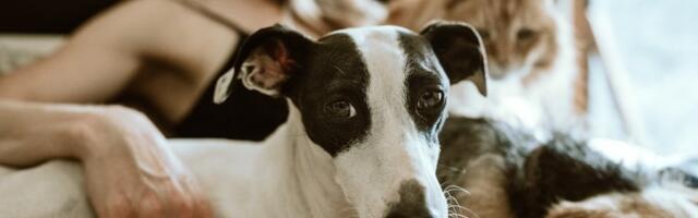 Мій дім - моя фортеця.