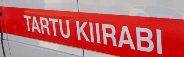 Tartus rammis veoauto teeäärseid puid, juht viidi haiglasse