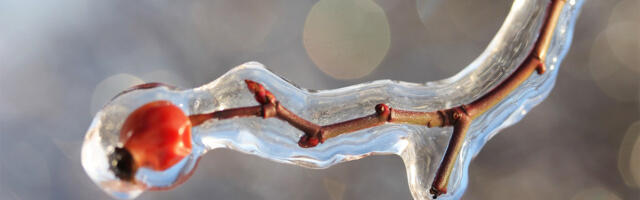 У Фінляндії знову стає холодніше, йде сніг, тепло прийде тільки на свято трудящихся.