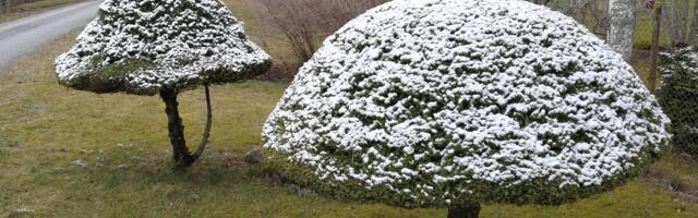 ChatGTP: milliseid aiatöid tuleks Eestis teha märtsikuus