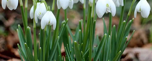 Märtsikuu 2026 horoskoop – Armastus, töö ja raha.