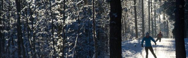 Saladus Soome murdmaasuusatamisest_ kuus tippsuusatajat tegelesid 1970ndate lõpus verevahetusega