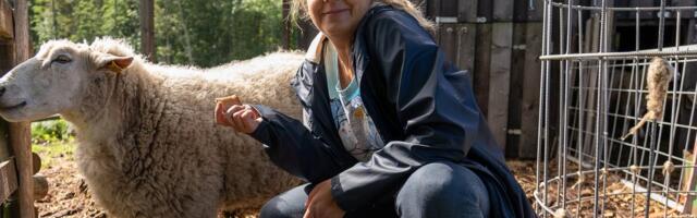 NALJABLOGI | Raadiohääl Pille Minev võttis talled tööle kaasa, Joel Ostrat veab isiklikult Superbandiidi burgereid poodidesse