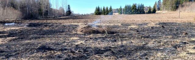 FOTOD | Nädalavahetusel on päästjad kustutanud üle 30 kulupõlengu, üks päästja sai viga