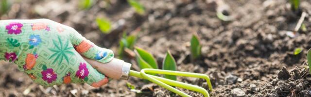 HEA TEADA | Kevadel väetamisega kiirustades võid teha rohkem kahju kui kasu