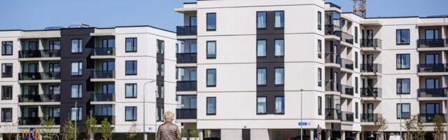 Leedukad hoiatavad kinnisvaraturgu uue musta luige eest. Eestlased ei karda