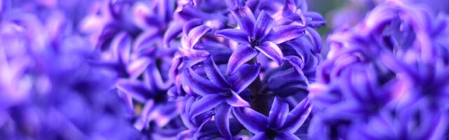 Päevahoroskoop  : laupäev, 19. aprill