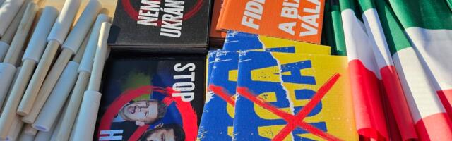 Rain Pruul: Ungarile on tähtsaim majandus, mitte Ukraina