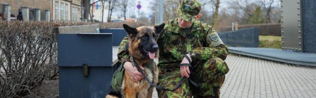 VIDEO JA FOTOD | Karmi koolituse järel astus Kaitseliidus teenistusse neli uut neljajalgset