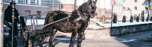 Maarjavälja elurikkuse näidisalal alustatakse pühapäeval töödega