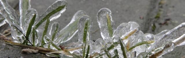 Погода | Після весняного тепла повертаються нічні заморозки і дощі.