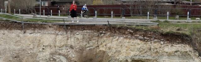 Відео ТВ3 | Чи небезпечна Кас Какумяйя ті для людей?