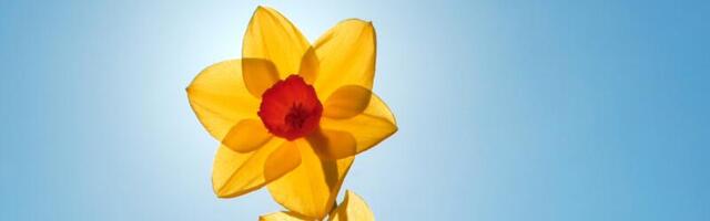 Тижневий гороскоп: 21 - 27 квітня