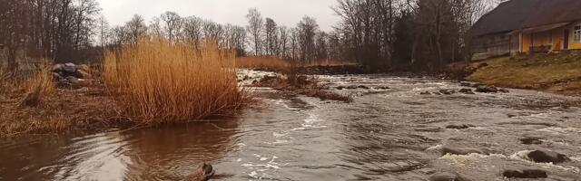 Läänemaa sai uue looduskaitseala