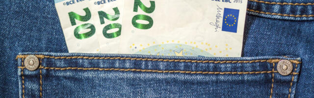 Eesti õhukest majanduskasvu veab valitsussektori tarbimine, eratarbimine vähenes