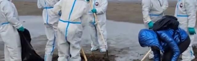 Leningradi oblastis Eesti külje all on Ust-Lugast pärit naftareostus