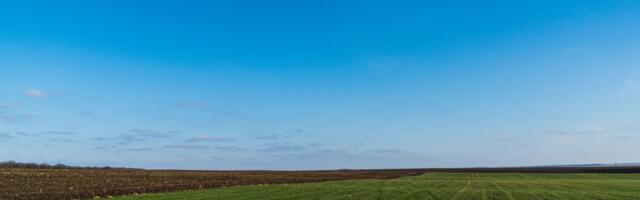 Soe, kuid kuiv märts kurnas põlde: mullaniiskus langes kriitiliselt