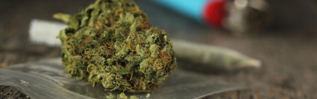 2025. aasta Tallinna ja Pärnu reoveeuuring: kanep on endiselt levinuim uimasti, hüppeliselt on kasvanud kokaiini tarvitamine