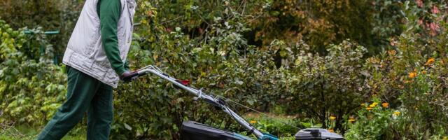 Психолог: часто люди косять газон зі страху перед сусідами