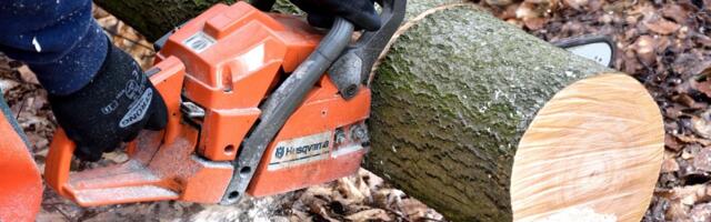 Saag kätte ja tegudele – kas oled kuulnud raiespordist?