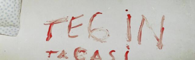 „Ühel hetkel võibki lihtne igavuse peletamine tipneda traagilise kuritööga“