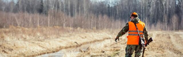 Ott Olesk: otsuseid teevad need, kes ise loodust ei tunne. Las jahimees teeb oma tööd!