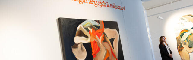 Galerii: Rebeka Vaino isikunäitus otsib killustunud kogemustes iluhetki