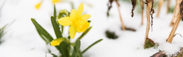 ILMATEADE | Ees ootavad viimased sajuta päevad enne vihma ja lume tulekut