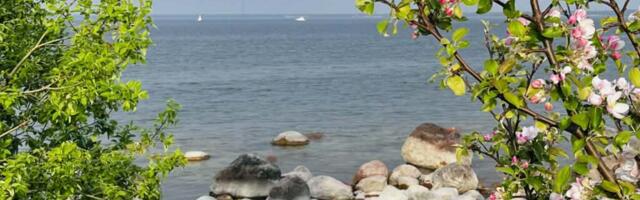 KIRI PALJASSAARELT | Aarete saar Tallinnas