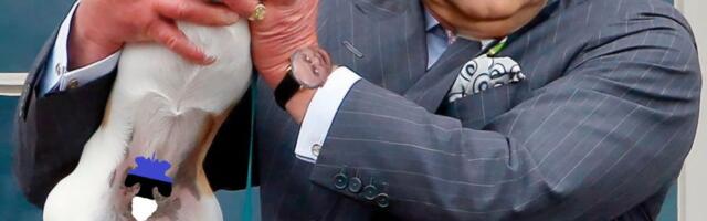 MEEDIAVALVUR: Eesti orbangutanide sugukond