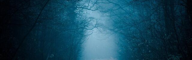 Tulekul on müstiline ja mõistatuslik öö