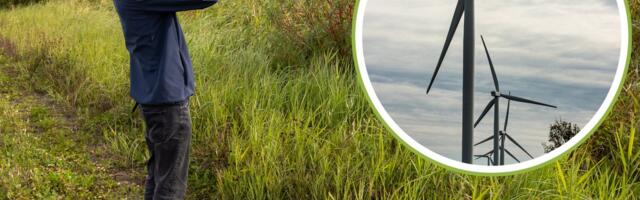 Kui KOV ütleb Matsalu rahvuspargi kõrvale tuuleparki ehitavale arendajale „ei“, ootab ees kohtutee