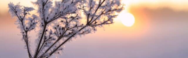 November oli pikaajalisest keskmisest soojem, päikesepaistet ja sademeid oli normist vähem