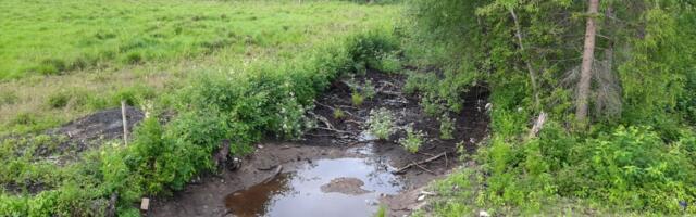 Maaparandussüsteemide ajakohastamiseks, keskkonnakaitserajatiste ehitamiseks ja erateede arendamiseks saab toetust