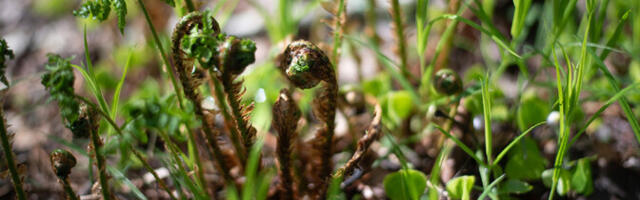 Reedel särab päike ja on sooja kuni 14 kraadi
