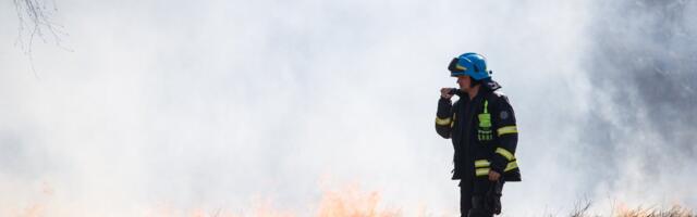 ILMATEADE | Kevadine soojalaine kogub iga päevaga hoogu