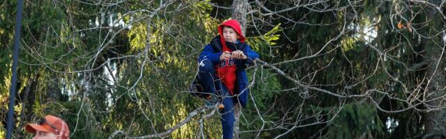 FOTOD | Tõeline rahvapidu! Otepää MK-etapil roniti parema vaate nimel kasvõi puu otsa