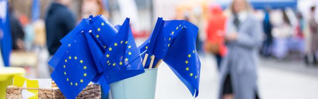 Peaminister Michal: Euroopa Liidu laienemine on meie geopoliitiline vajadus