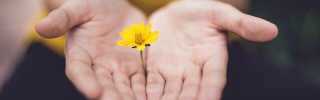 Характер людини, народженої 19 квітня