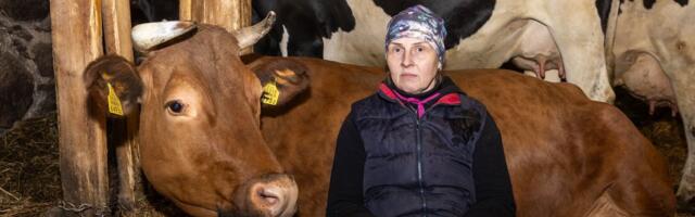 E-Piima ühistu vaagub hinge, väiketalunikud muretsevad oma püsimajäämise pärast