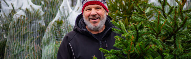 Kuuskede müük saab hoo sisse