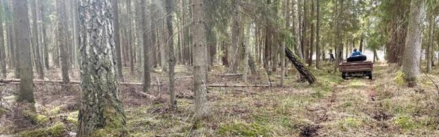 Uus seadus võimaldaks looduskaitsjate sõnul ka kaitse all olevaid metsi raiuda