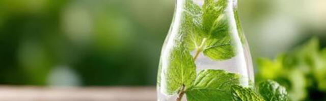 Kevadine detoks algab puhtast joogiveest: kuidas puhas joogivesi toetab vitaalsust?