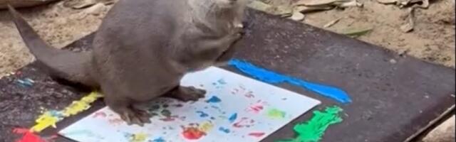 Loomaaias avati šimpansite, elevantide ja saarmaste tehtud maalide näitus