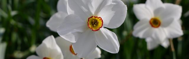 Щоденний гороскоп: четвер, 24 квітня