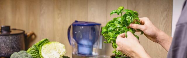 Miks teismelisel tehisintellektilt toitumisalast nõu küsida ei maksaks?