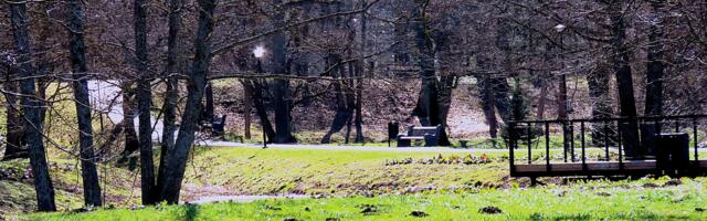 GALERII: varakevadine Mõisapark