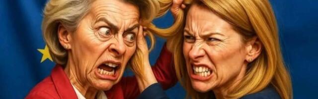 A-WEF 2025: “Vaba Euroopa Brüsseli tsentralismi asemele“