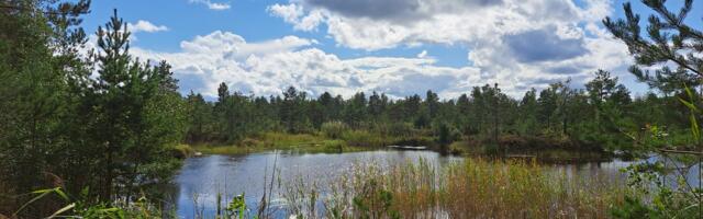 "MEDIEVALVUR: естонська дитяча депортація у XXI столітті"